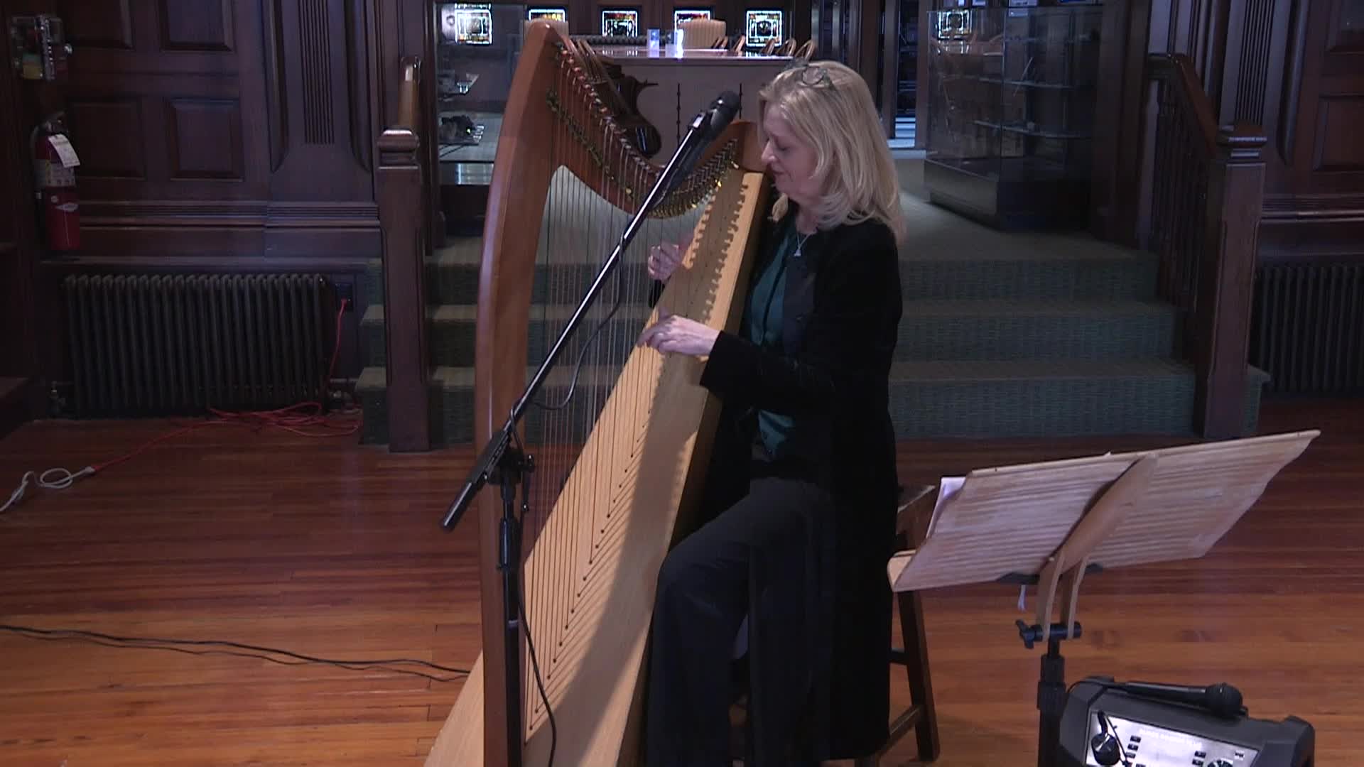 Thumbnail image for Concerts at the Crane: Aine Minogue Encore 2
